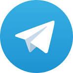 budgie game online Telegram Bot